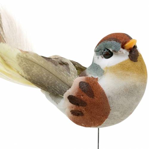 Floristik24 Uccellino su filo 5,5 cm colorato 9 pezzi