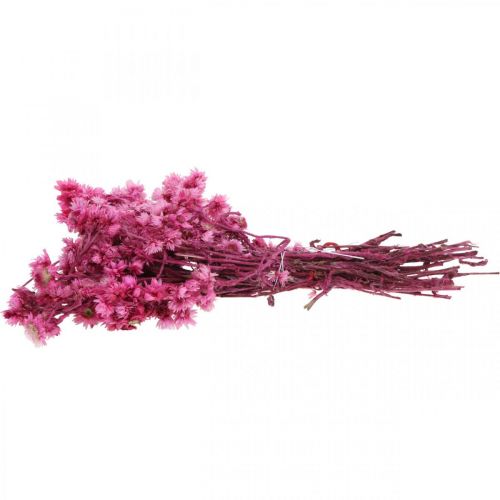Prodotto Mini Fiore Di Paglia Rosa Fiori Secchi Fiore Di Roccia H20cm 15g