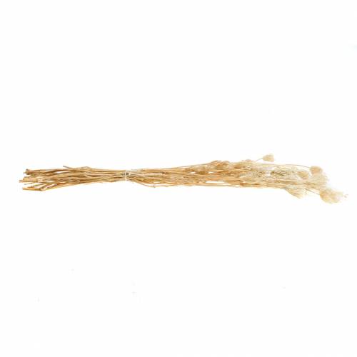 Prodotto Finocchio fiori essiccati sbiancati 100g