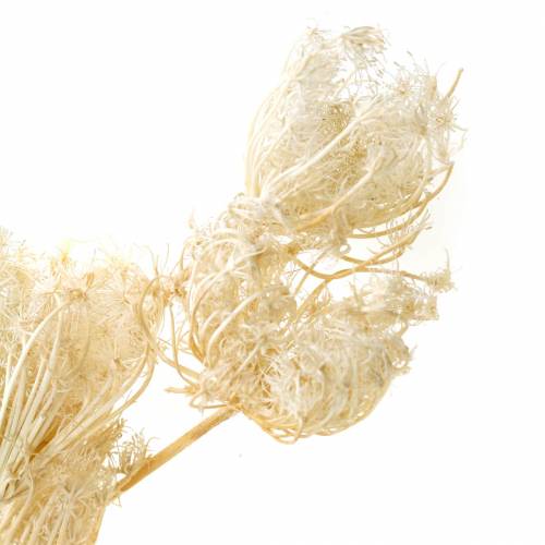 Prodotto Finocchio fiori essiccati sbiancati 100g