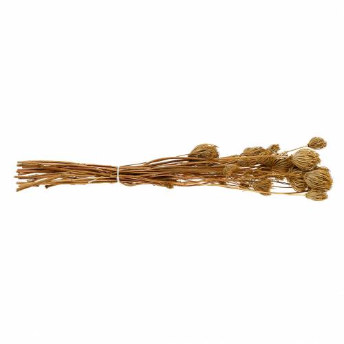 Prodotto Fiori secchi di finocchio naturale 100g