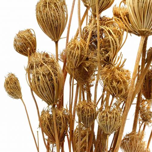 Prodotto Fiori secchi di finocchio naturale 100g