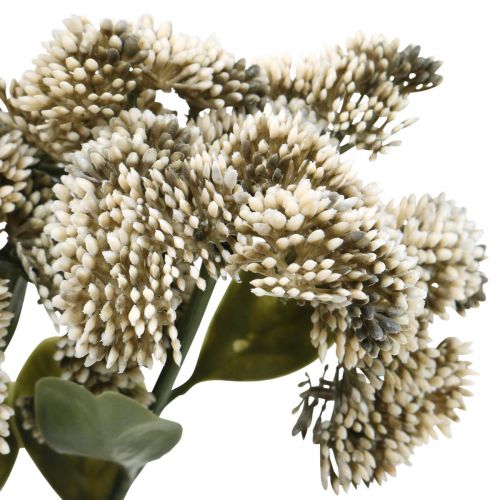 Prodotto Stonecrop crema sedum stonecrop fiori artificiali 48 cm 4 pezzi