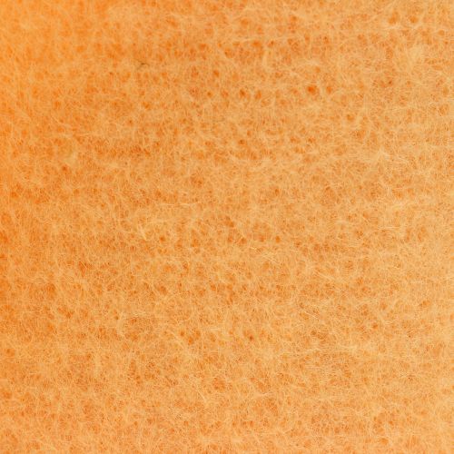 Prodotto Nastro in feltro arancione chiaro 15cm 5m