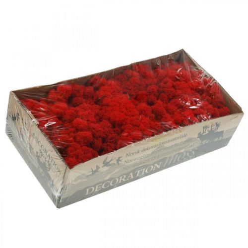 Prodotto Muschio di renna rosso muschio decorativo per artigianato 400 g