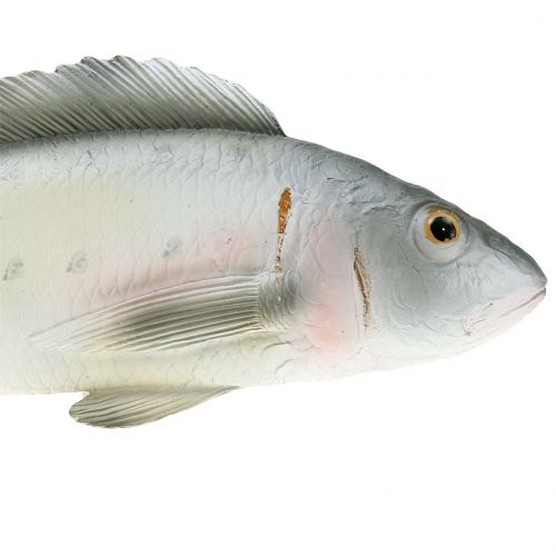 Floristik24 Pesce persico decorativo L27.5cm