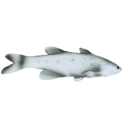 Floristik24 Pesce decorativo L24cm