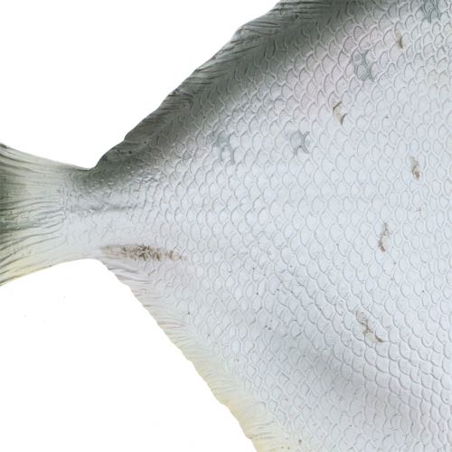 Floristik24 Pesce decorativo L21cm