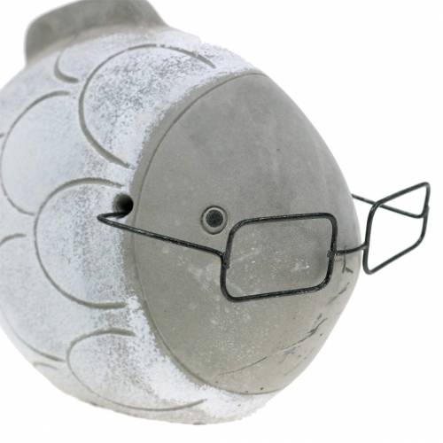 Floristik24 Pesce decorativo con occhiali blu bianco 15,5/14,5 cm 2 pezzi