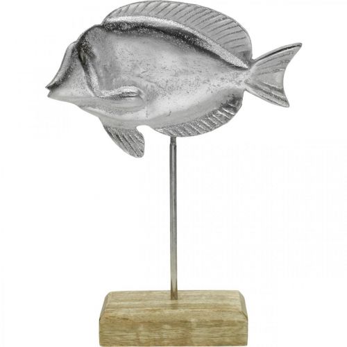Floristik24 Pesce da posizionare, decorazione marittima, pesce decorativo in metallo argento, colori naturali H23cm