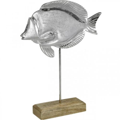 Prodotto Pesce decorativo, decorazione marittima, pesce in metallo argentato, colore naturale H28,5 cm