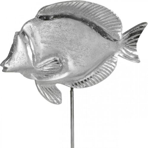 Floristik24 Pesce decorativo, decorazione marittima, pesce in metallo argentato, colore naturale H28,5 cm