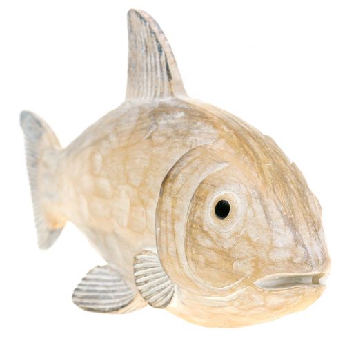 Floristik24 Pesce decorativo in legno effetto natura L19cm