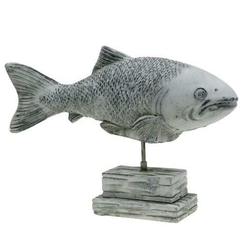 Floristik24 Figurina da giardino pesce su supporto H20cm