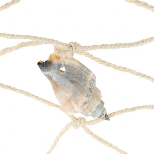Prodotto Rete da pesca marittima, rete decorativa con conchiglie 100×120 cm