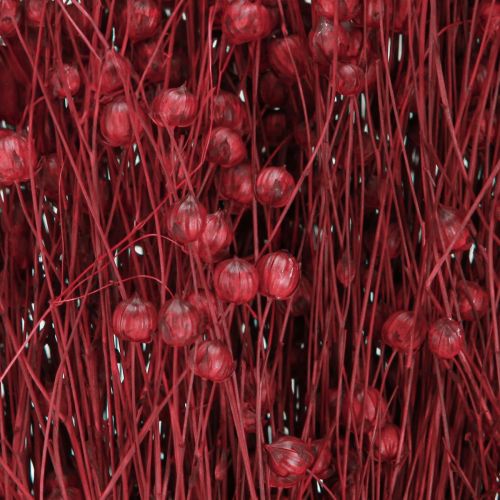 Prodotto Decorazione secca di lino rosso bordeaux, fiori secchi L55cm 80g