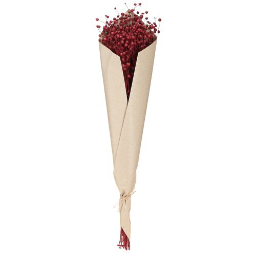 Prodotto Decorazione secca di lino rosso bordeaux, fiori secchi L55cm 80g