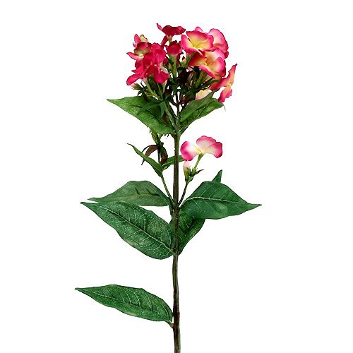 Floristik24 Fiore rosa fiamma 72cm