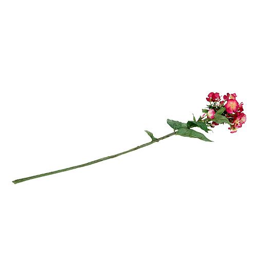 Floristik24 Fiore rosa fiamma 72cm
