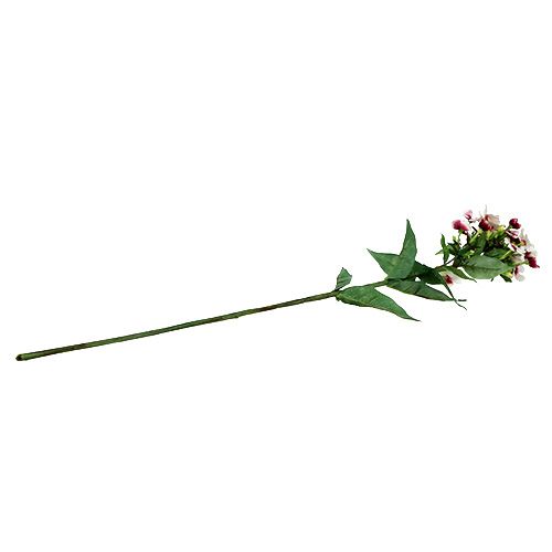 Floristik24 Fiore di fiamma bianco 72 cm