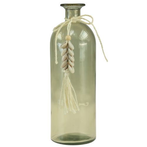 Prodotto Bottiglie vaso decorativo in vetro conchiglie ciprea marittima H26cm 2 pezzi