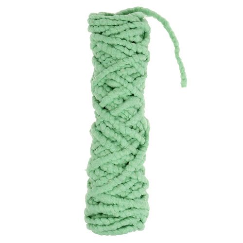 Floristik24 Velcro Mirabell verde chiaro 25m