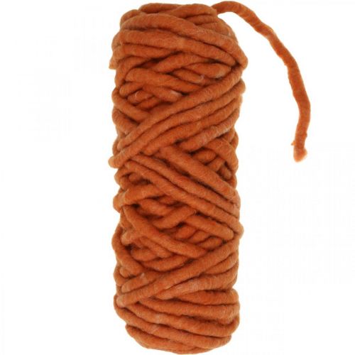 Cordone in feltro, cordoncino in lana, cordoncino in feltro, lana di pecora, juta, arancione, L30m