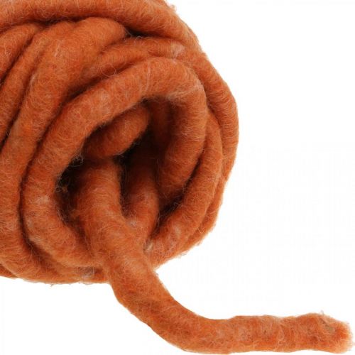 Cordone in feltro, cordoncino in lana, cordoncino in feltro, lana di pecora, juta, arancione, L30m
