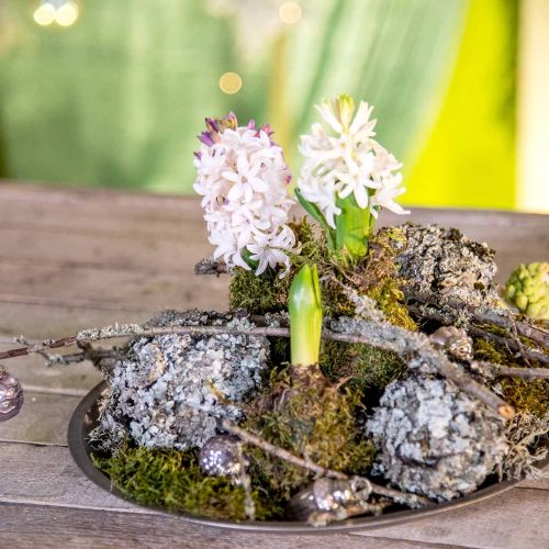 Prodotto Decoro lichene naturale con grigio muschio 500g