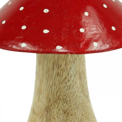 Floristik24 Fly agarico deco fungo di legno decorazione autunnale legno 11,5×Ø10cm