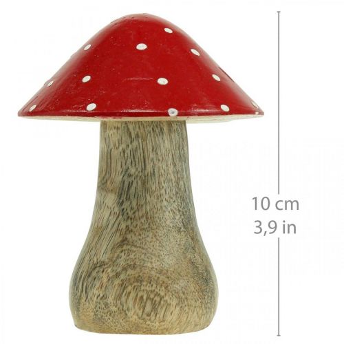 Floristik24 Fly agarico deco fungo di legno decorazione autunnale legno 10×8cm