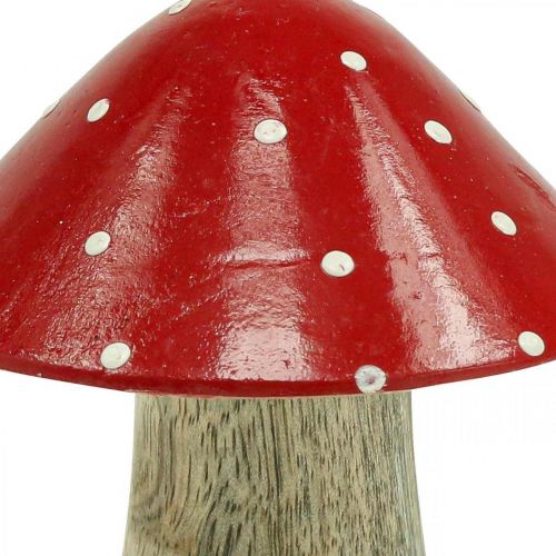 Floristik24 Fly agarico deco fungo di legno decorazione autunnale legno 10×8cm