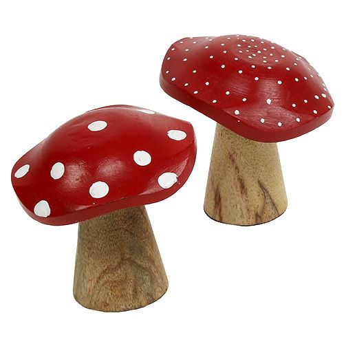 Floristik24 Fly Agaric Wood Mushroom Mix 9cm -10,5cm Red, Natural 8pcs