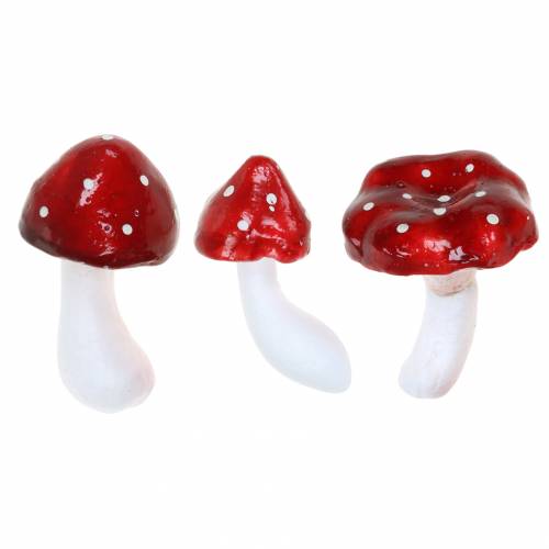 Set decorativo di agarico di mosca rosso, bianco 6–7 cm 12 pezzi Set decorativo di agarico di mosca rosso, bianco 6–7 cm 12 pezzi