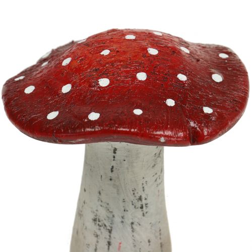 Floristik24 Funghi in ceramica rosso, bianco H12,5cm 2 pezzi