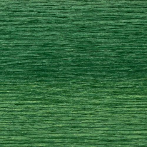Prodotto Carta crespa per fioristi verde scuro 50x250cm