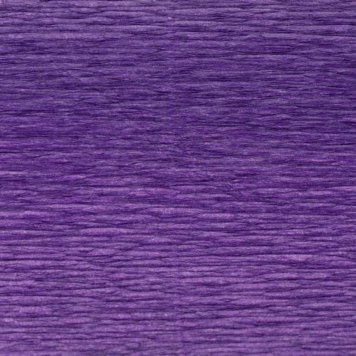 Prodotto Carta crespa per fioristi viola scuro 50x250cm