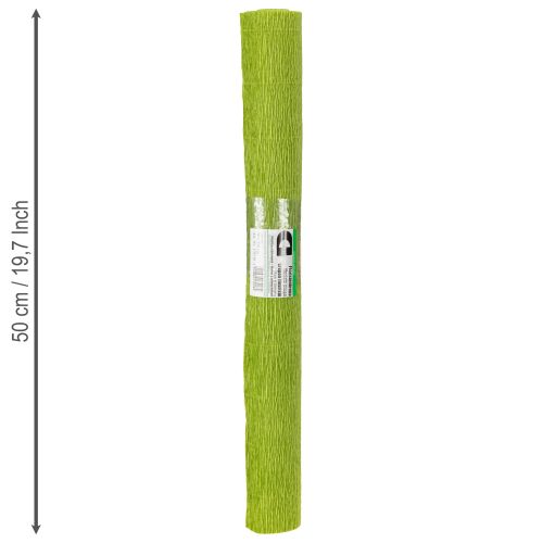 Prodotto Carta crespa per fioristi, verde erba, 50×250 cm, 5 pezzi