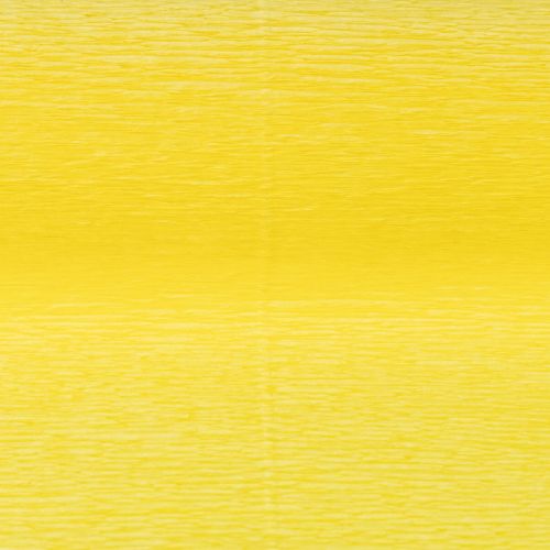 Prodotto Carta Crespa Fiorista Giallo 50x250cm