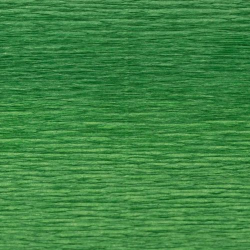 Prodotto Carta crespa per fioristi verde 50x250cm