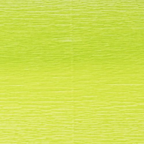 Prodotto Carta crespa fiorista May green 50x250cm