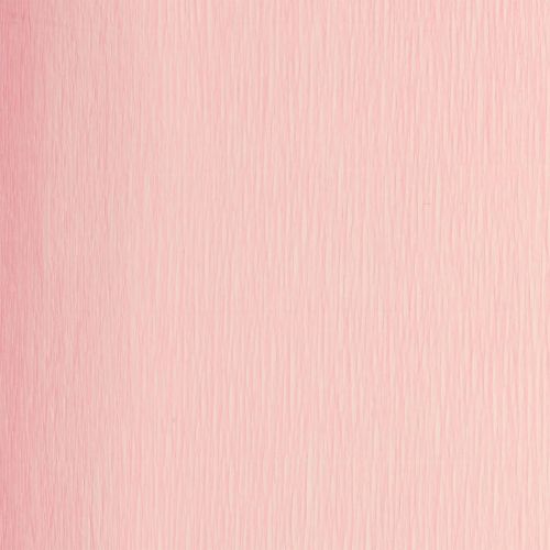 Prodotto Carta crespa fiorista rosa 50x250cm