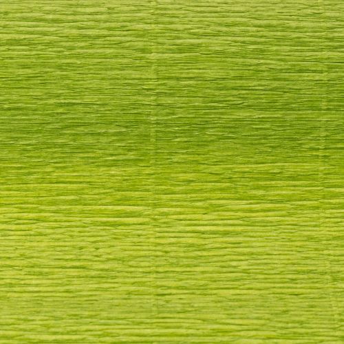 Prodotto Carta crespa per fioristi verde erba 50x250cm