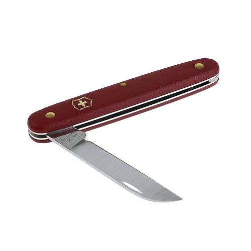 Floristik24 Coltello per fiorista Victorinox