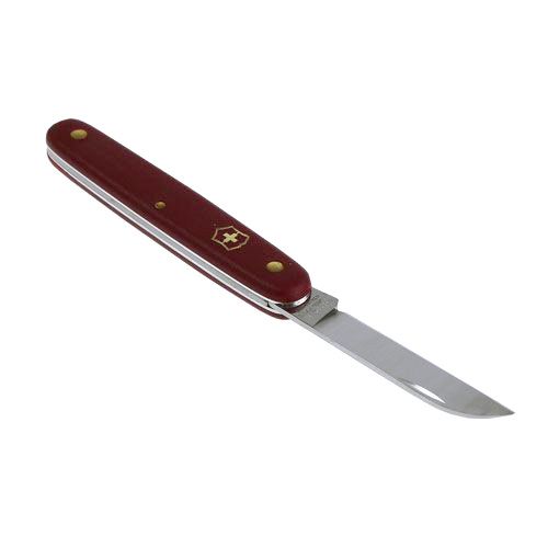 Prodotto Coltello per fiorista Victorinox