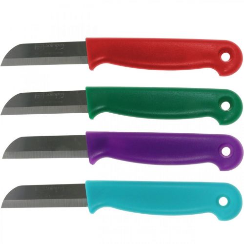 Prodotto Coltello da fiorista 15 cm 10 pezzi - colore casuale