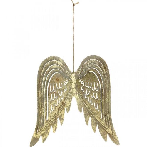 Floristik24 Ali d'angelo decorazioni natalizie, decorazioni in metallo, ali da appendere dorate, aspetto antico H29,5 cm L28,5 cm