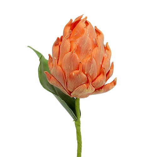 Schiuma di carciofo arancione 14cm L28cm 1p
