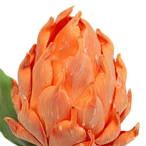 Schiuma di carciofo arancione 14cm L28cm 1p