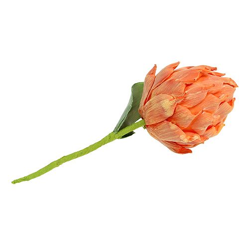 Floristik24 Schiuma di carciofo arancione 14cm L28cm 1p